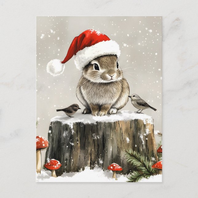 Cartes Pour Fêtes Annuelles Winter Père Noël Bunny Wonderland (Devant)