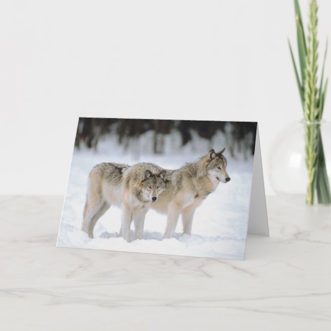Cartes Pour Fêtes Annuelles Winter Snow Xmas Holiday Christmas Blank (Devant)