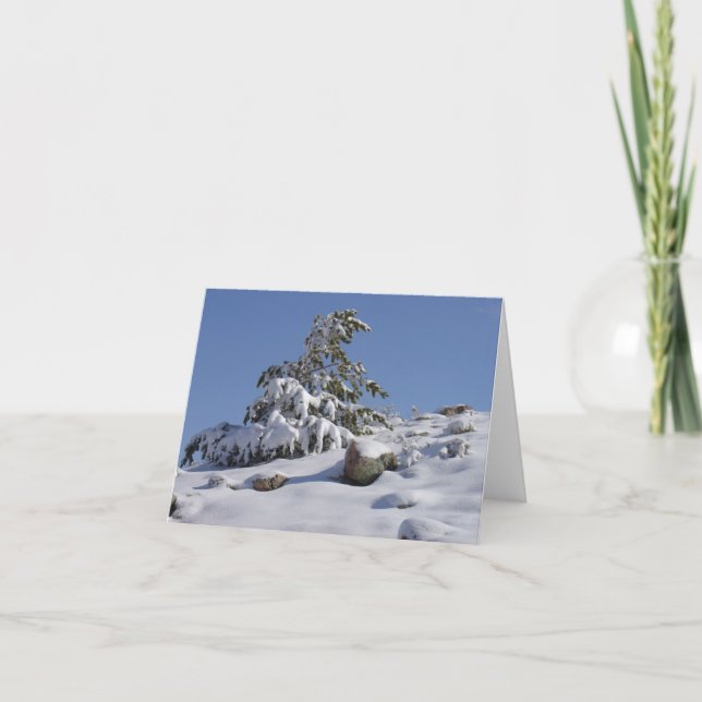 Cartes Pour Fêtes Annuelles Winter Wonder All Occasion Greeting Card (Devant)