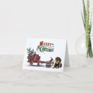 Cartes Pour Fêtes Annuelles Wirehair Dachshund Noël