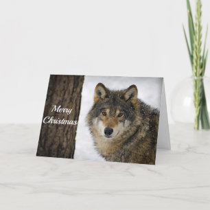 Cartes Pour Fêtes Annuelles Wolf Snow Tree photo Noël