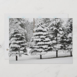 Cartes Pour Fêtes Annuelles Wonderland d'hiver du Vermont en B&W Flat Card