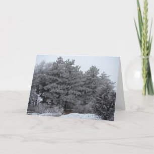 Cartes Pour Fêtes Annuelles Wonderland hivernal gelé