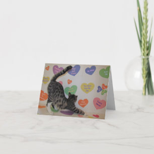 Cartes Pour Fêtes Annuelles Wyatt The Cat's Conversation Hearts Valentine's