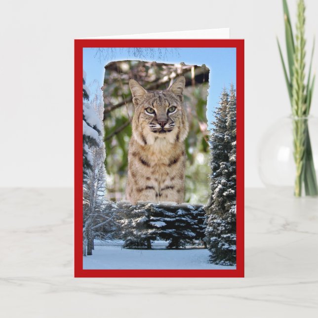 Cartes Pour Fêtes Annuelles xmas-bobcat-20 (Devant)