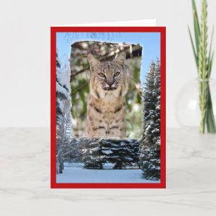 Cartes Pour Fêtes Annuelles xmas-bobcat-20