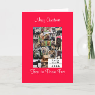 Cartes Pour Fêtes Annuelles xmas card_cr, Joyeux NoëlDe Secourir Peis