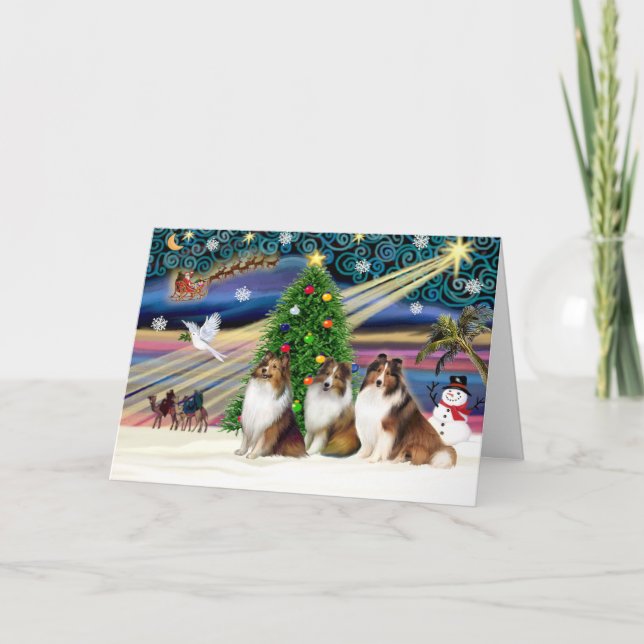 Cartes Pour Fêtes Annuelles Xmas Magic-3Shelties 3Sable-Wht (Devant)