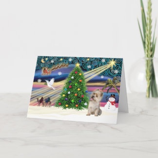 Cartes Pour Fêtes Annuelles Xmas Magic Cairn blé