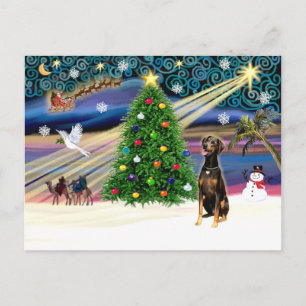 Cartes Pour Fêtes Annuelles Xmas Magic-Doberman Blk-Natural