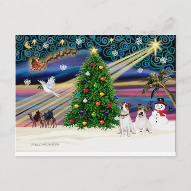 Cartes Pour Fêtes Annuelles Xmas Magic-Jack Russell Pair2 (Devant)