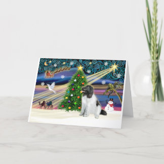 Cartes Pour Fêtes Annuelles Xmas Magic-Newfie-Landseersit