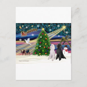 Cartes Pour Fêtes Annuelles XMAS Magic Poodle ST-Pair2