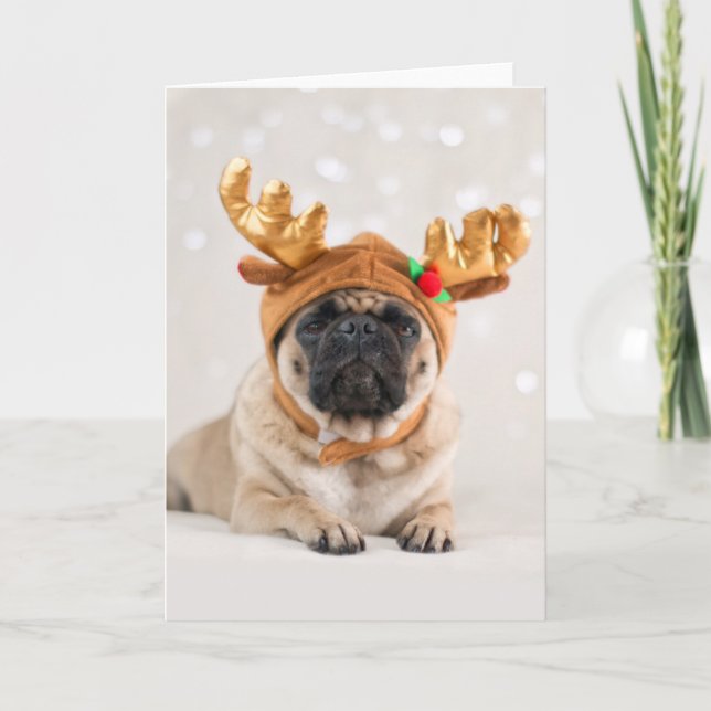 Cartes Pour Fêtes Annuelles Xmas Pug (Devant)