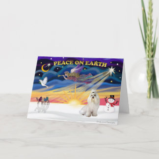 Cartes Pour Fêtes Annuelles XmasSunrise-Havanais (#1)
