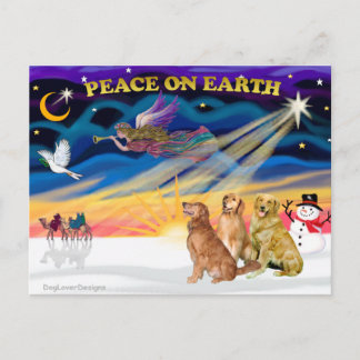Cartes Pour Fêtes Annuelles XmasSunrise-Trois Golden Retrievers