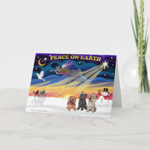 Cartes Pour Fêtes Annuelles XmasSunrise-Trois Teckels2