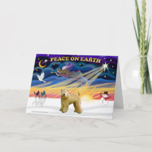 Cartes Pour Fêtes Annuelles XmasSunrise-WheatenTerrier2