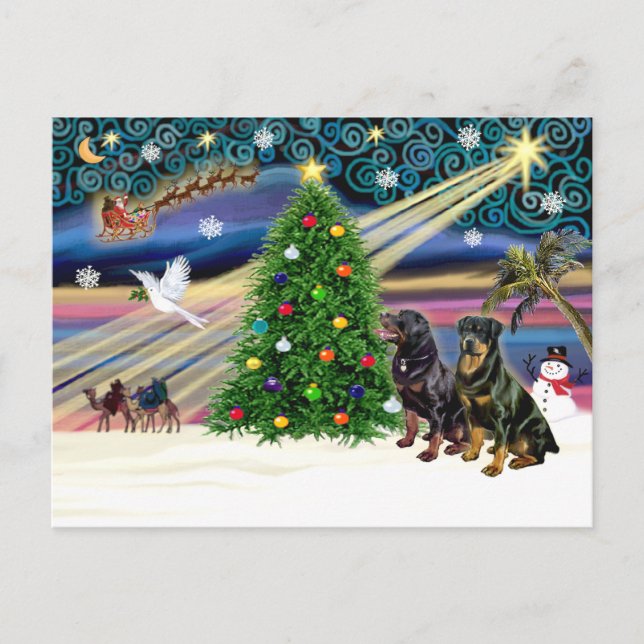 Cartes Pour Fêtes Annuelles Xms Magic-2 ROTTWEILERS (Devant)