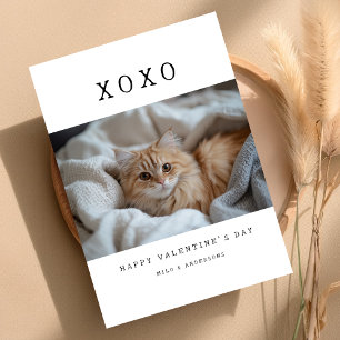 Cartes Pour Fêtes Annuelles XOXO Simple Rétro Chat Chaton Photo Saint-Valentin