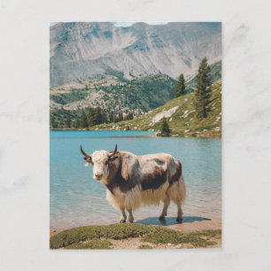 Cartes Pour Fêtes Annuelles Yak animal tendance moderne