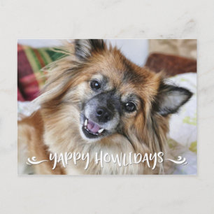 Cartes Pour Fêtes Annuelles YAPPY HOWLIDAYS   Funny Dog Photo