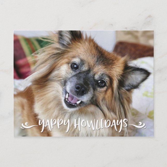 Cartes Pour Fêtes Annuelles YAPPY HOWLIDAYS | Funny Dog Photo (Devant)