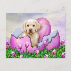 Cartes Pour Fêtes Annuelles Yellow Labrador Easter Surprise