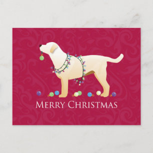 Cartes Pour Fêtes Annuelles Yellow Labrador Retriever Joyeux Noël Design