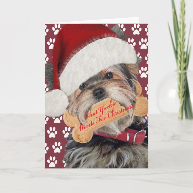 Cartes Pour Fêtes Annuelles Yorkie Wants Kisses For Christmas (Devant)