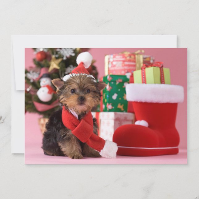 Cartes Pour Fêtes Annuelles Yorkshire Terrier Chiot et Noël (Devant)