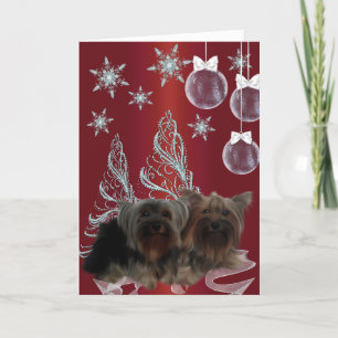Cartes Pour Fêtes Annuelles Yorkshire Terrier Noël