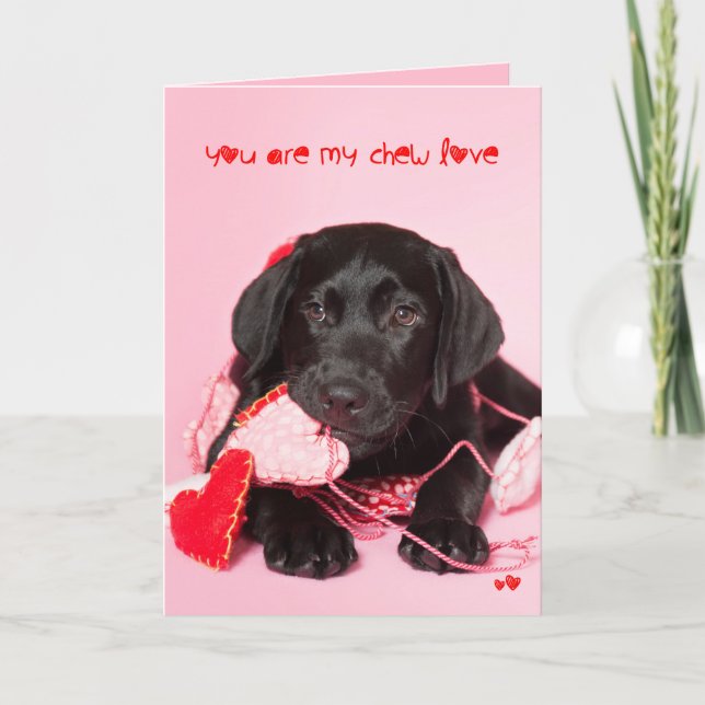 Cartes Pour Fêtes Annuelles You are my Chew Love Black Lab Valentine (Devant)