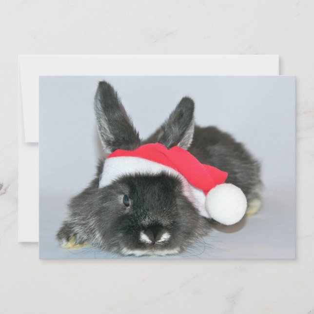 Cartes Pour Fêtes Annuelles Young christmas rabbit (Devant)