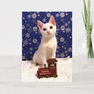 Cartes Pour Fêtes Annuelles Yuki's Christmas Train - Cat Holiday Greeting Card