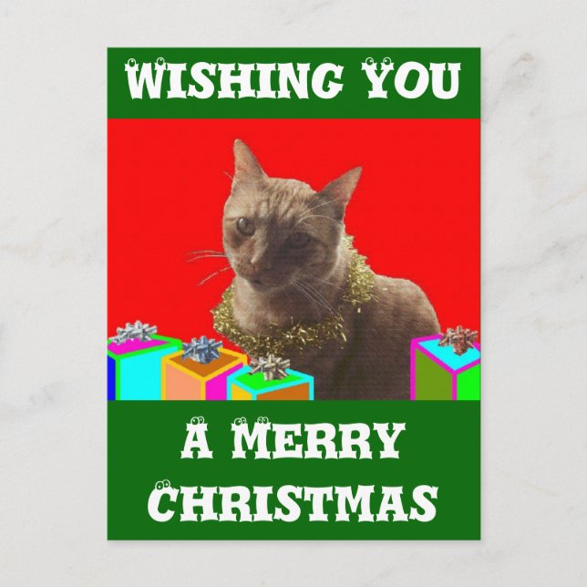 Cartes Pour Fêtes Annuelles Zack le chat de Noël (Devant)