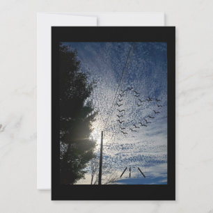 CARTES POUR FÊTES ANNUELLES ZEN