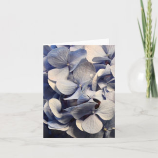 Cartes pour notes blancs Blue Hydrangea