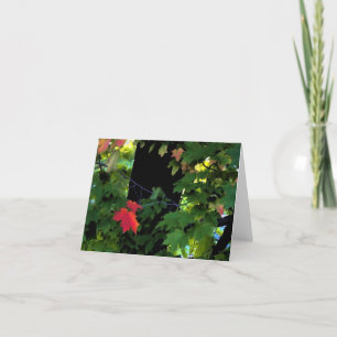 Cartes pour notes d'automne d'août