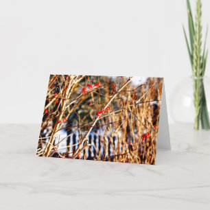 Cartes pour notes de baie d'hiver