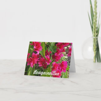 Cartes pour notes de bouganvillée