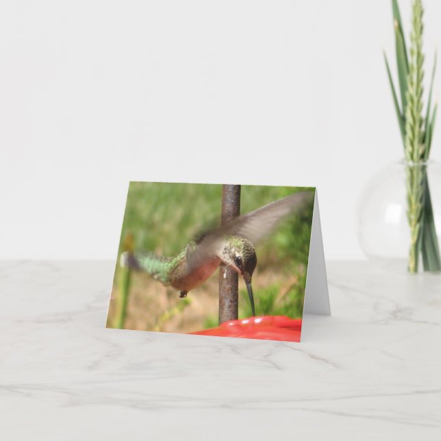 Cartes pour notes de colibris frappants (Devant)