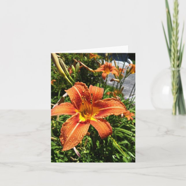 Cartes pour notes de Daylily (Devant)