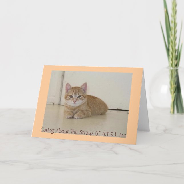 Cartes pour notes de Meggie (Devant)