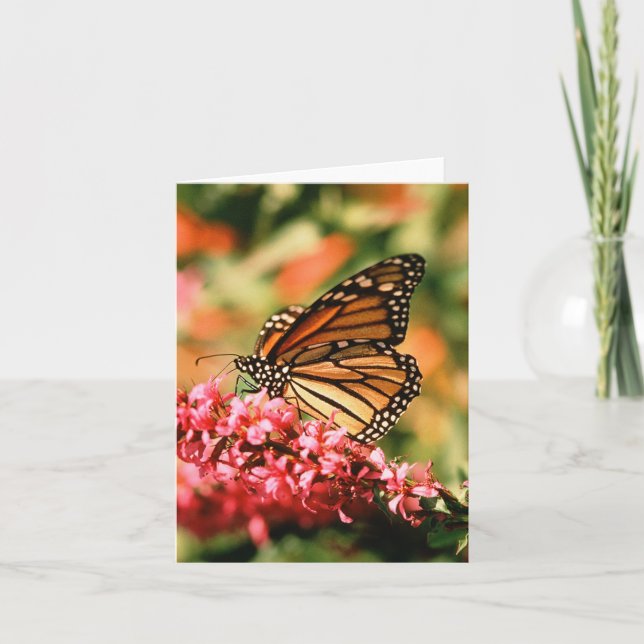 Cartes pour notes de papillon de monarque (Devant)