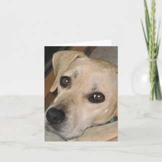 Cartes pour notes de petits mignons