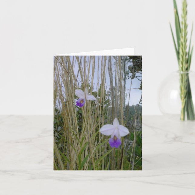 Cartes pour notes d'orchidées sauvages, Big Island (Devant)