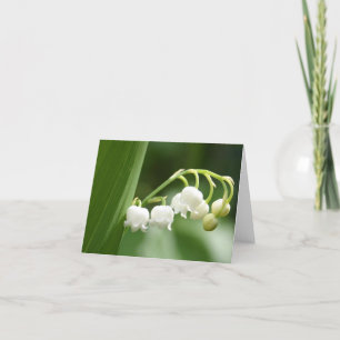 Cartes pour notes du muguet