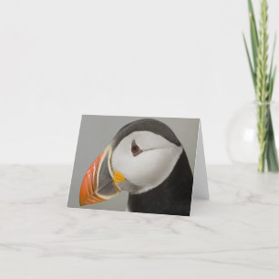 Cartes pour notes du Puffin de l'Atlantique