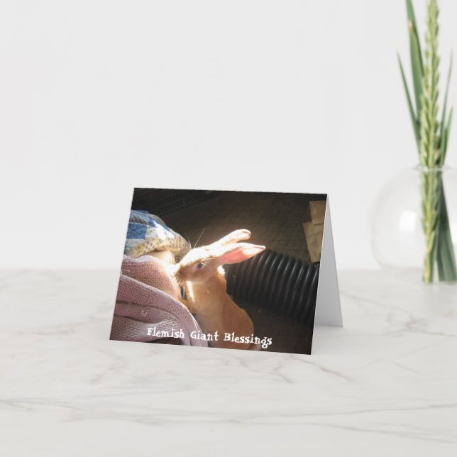 Cartes pour notes géants flamands de bénédictions (Devant)